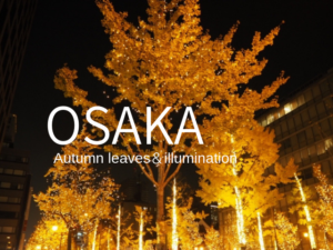 大阪の秋冬観光おすすめ